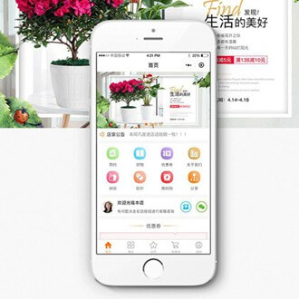 嘉定门店微商城小程序开发