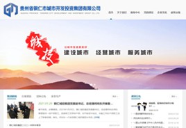 嘉定城市开发投资集团有限公司