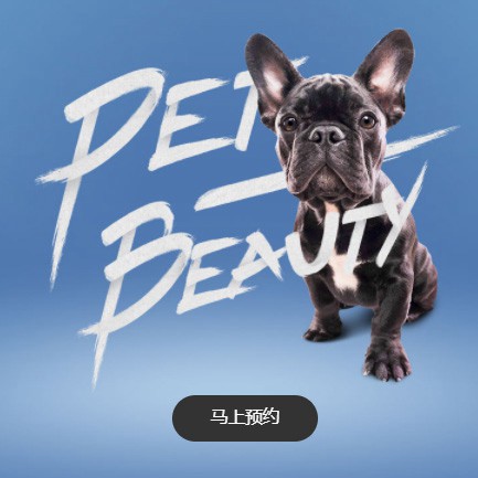 嘉定宠物中心小程序开发