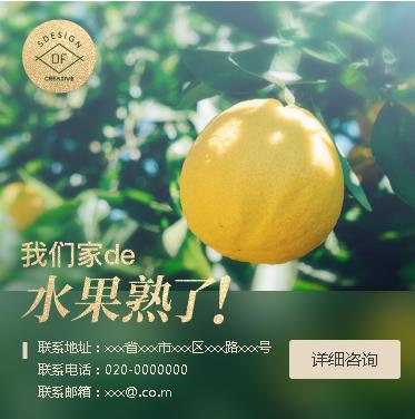 嘉定果园果林小程序开发